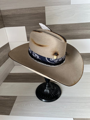 Bronc
